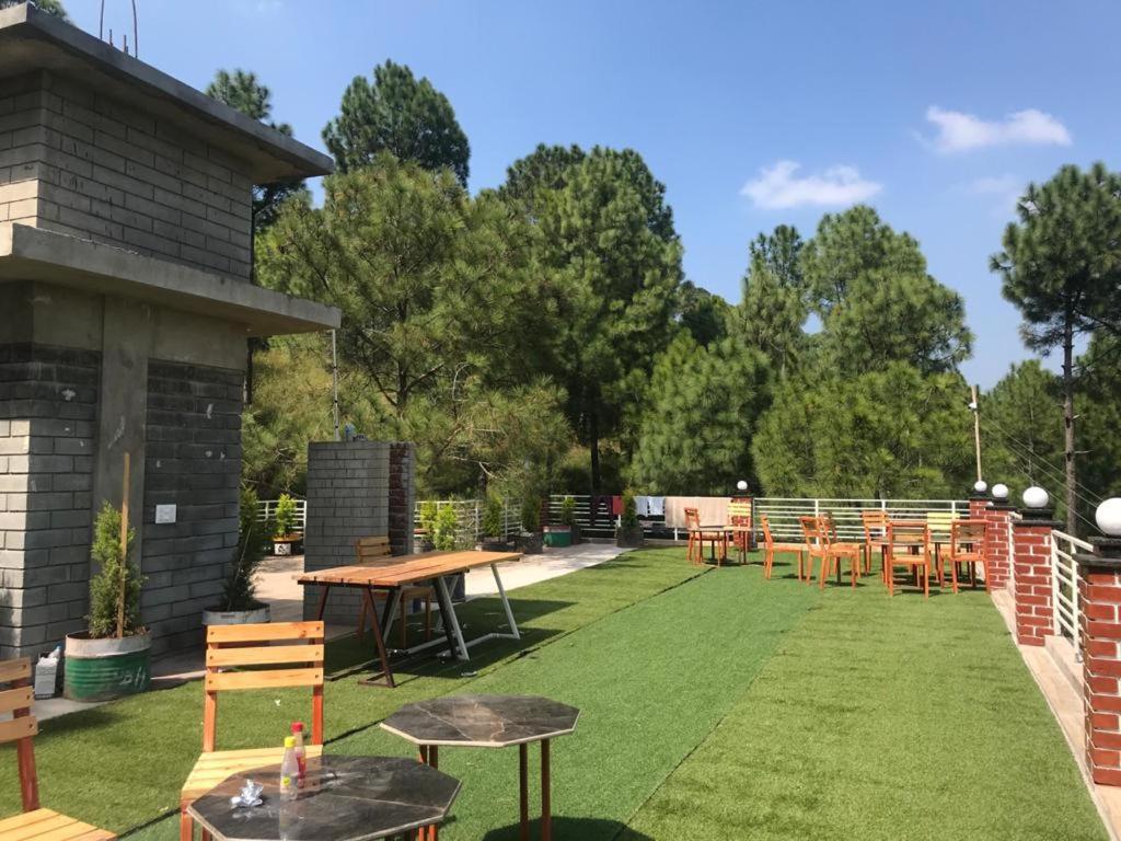 Host Jatin Kasauli Crest 7O1827O7O3 Διαμέρισμα Εξωτερικό φωτογραφία
